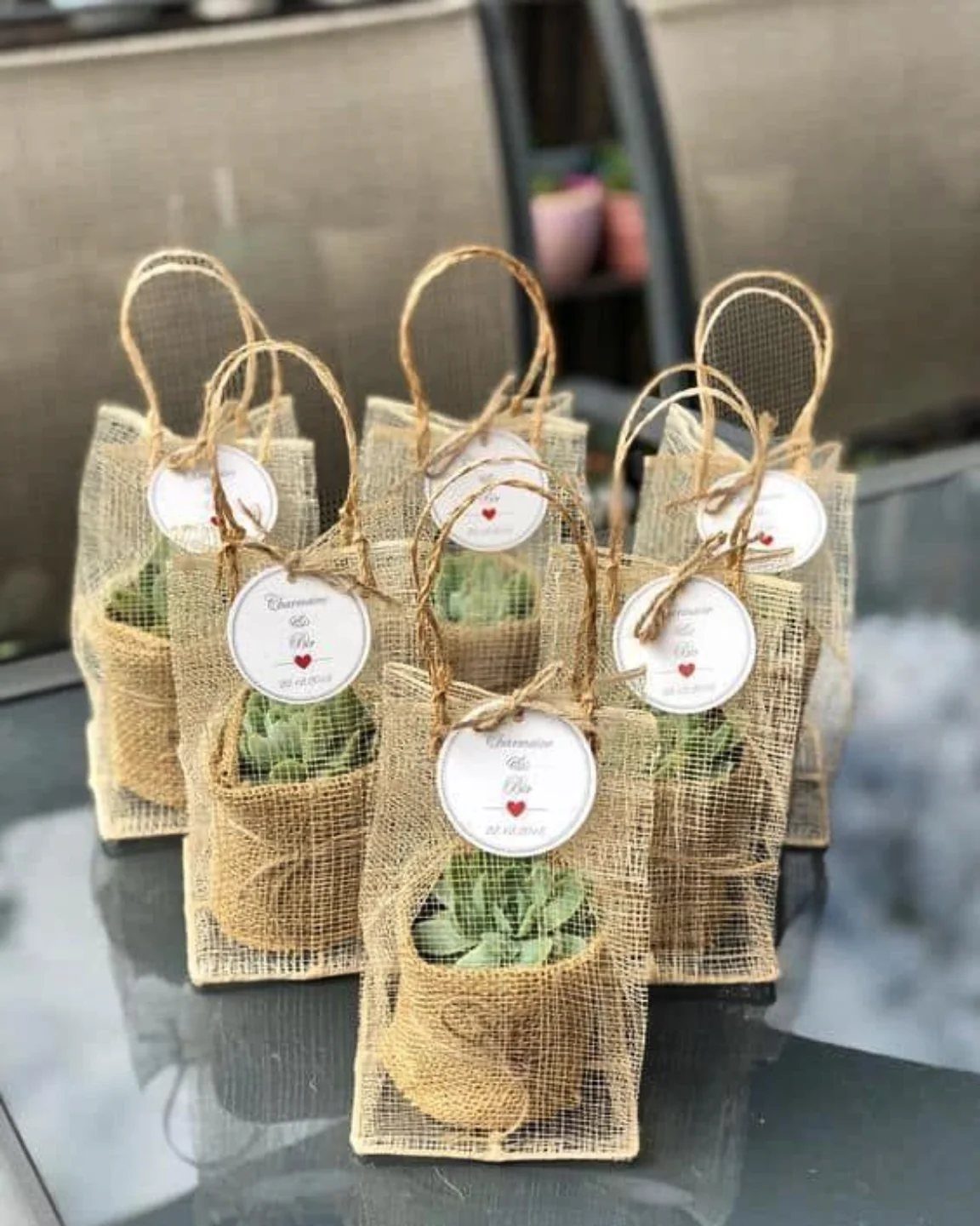 Small succulent plants in burlap pots and mesh bags with white gift tags.