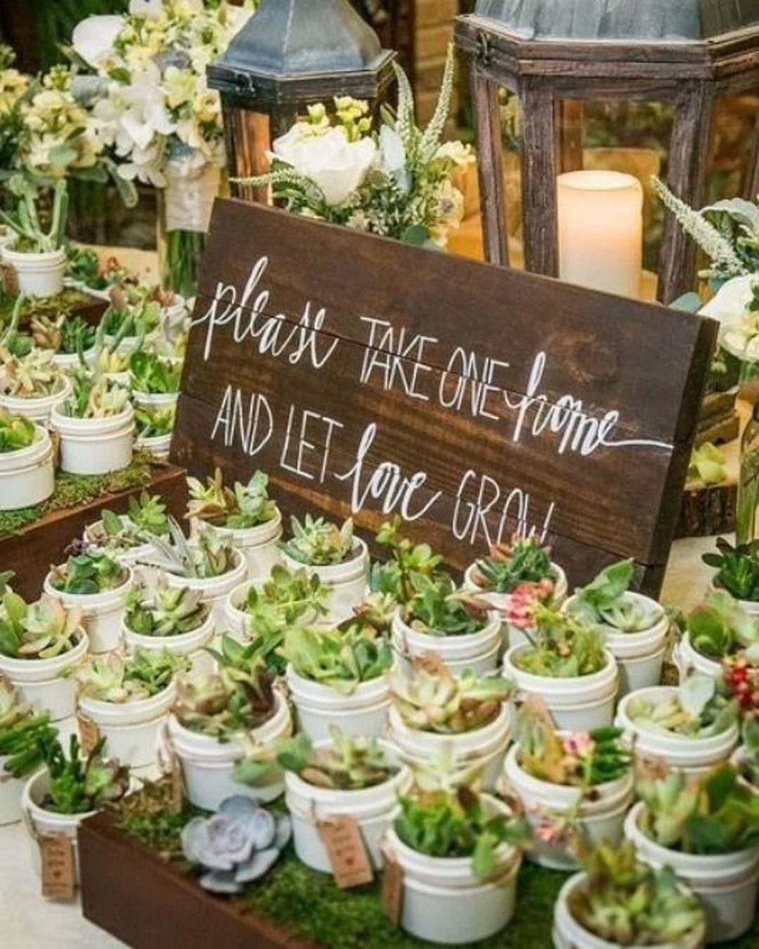 Small succulents in white pots arranged next to a wooden wedding favor sign.