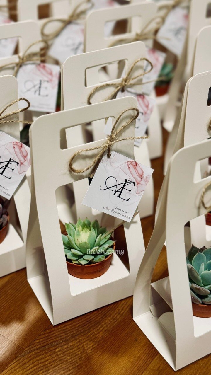Small potted succulents in white gift boxes with twine bows and personalized tags.