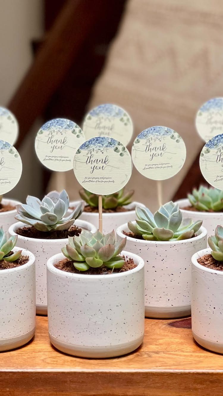 Mini succulents in white speckled pots with circular thank you tags on wooden sticks.