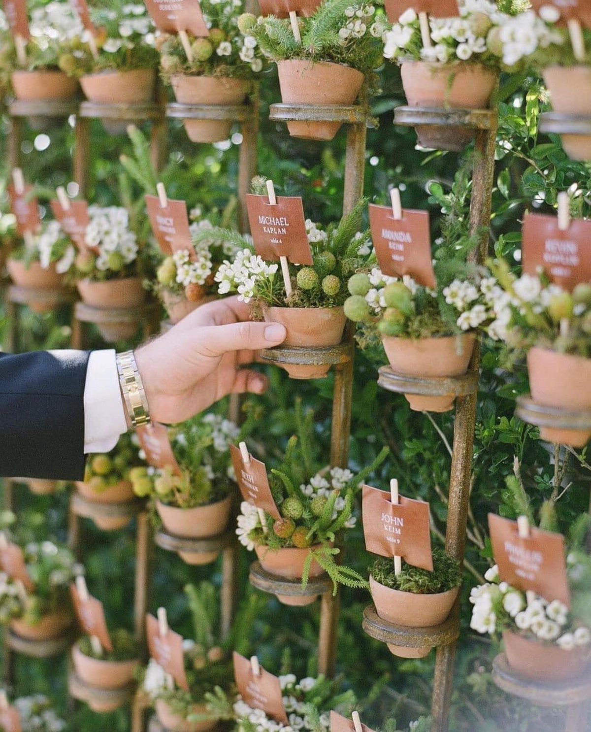 Small potted plants with name tags arranged on a rustic metal outdoor stand.