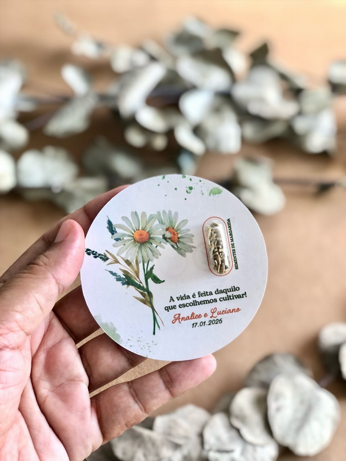 Circular seed packet with daisy illustrations and a small tube of seeds.