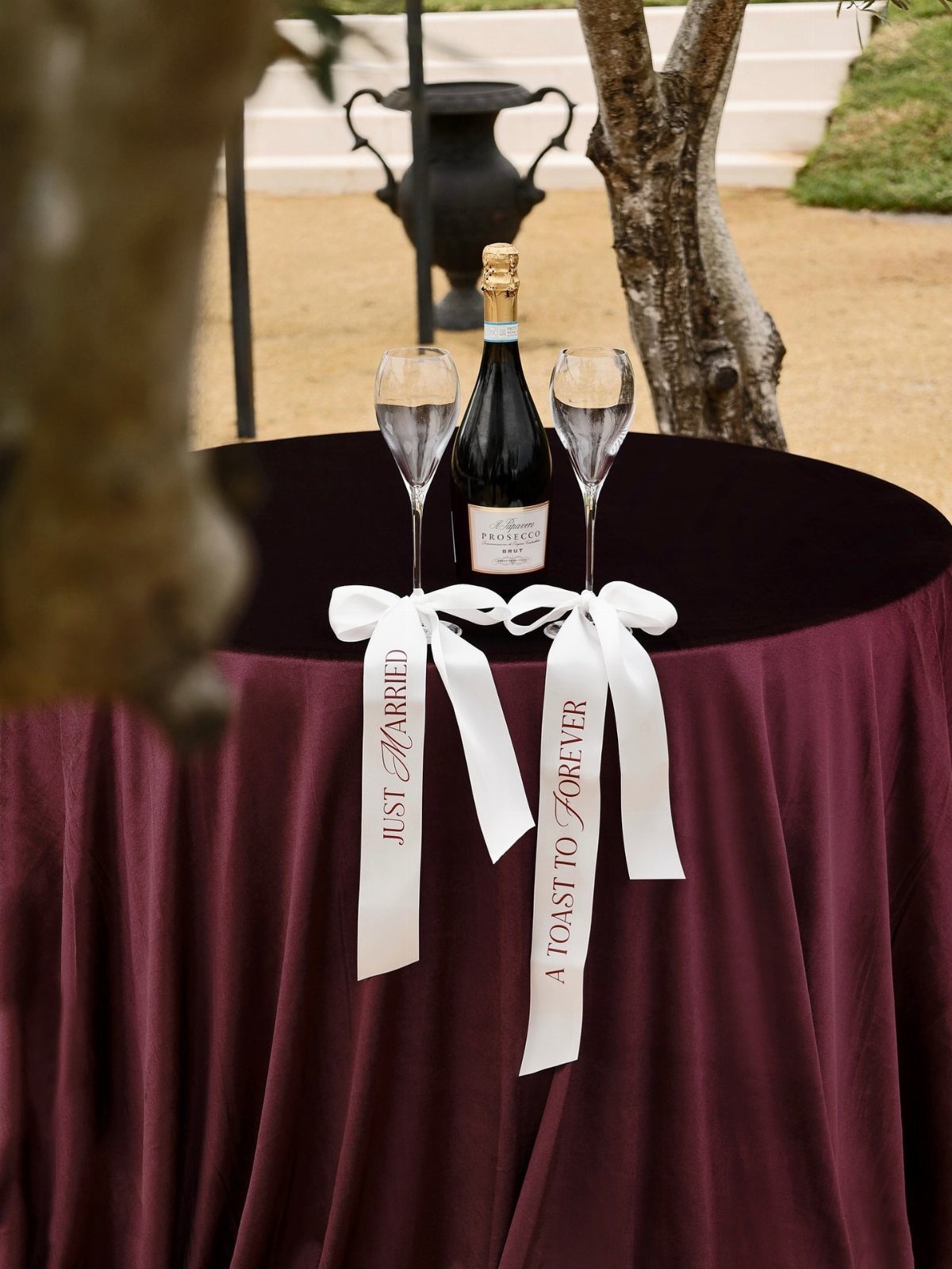 Champagne bottle and glasses with ribbons saying Just Married and A Toast to Forever